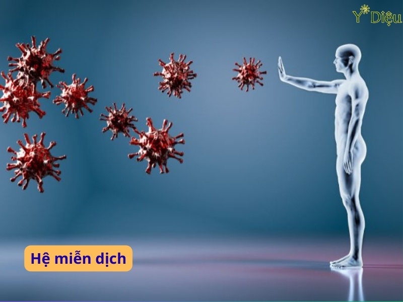 Miễn dịch bẩm sinh là tuyến phòng thủ đầu tiên
